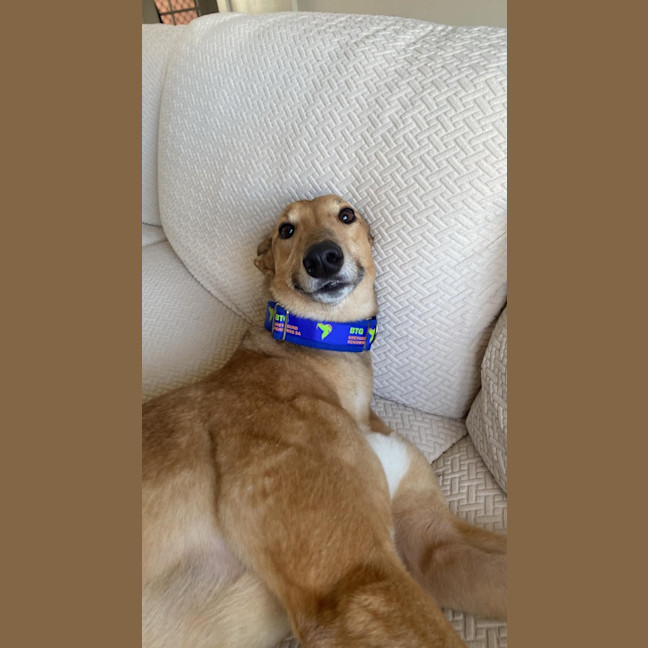 Photo of Sandy 