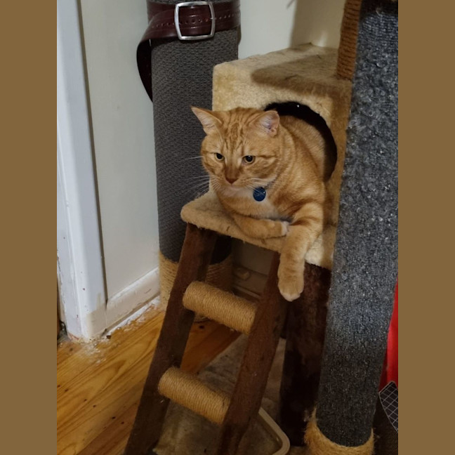 Photo of Jack And Sunny