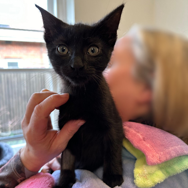 Photo of 🩷 Medina 🩷