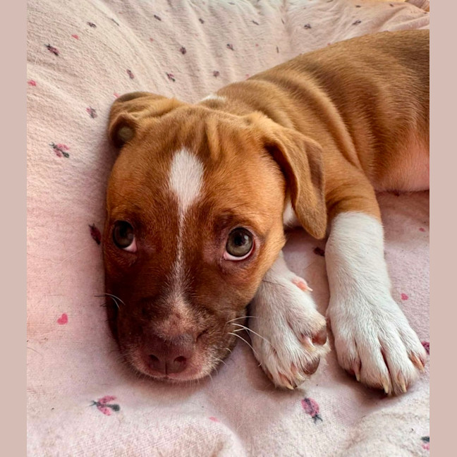 Photo of Kiki