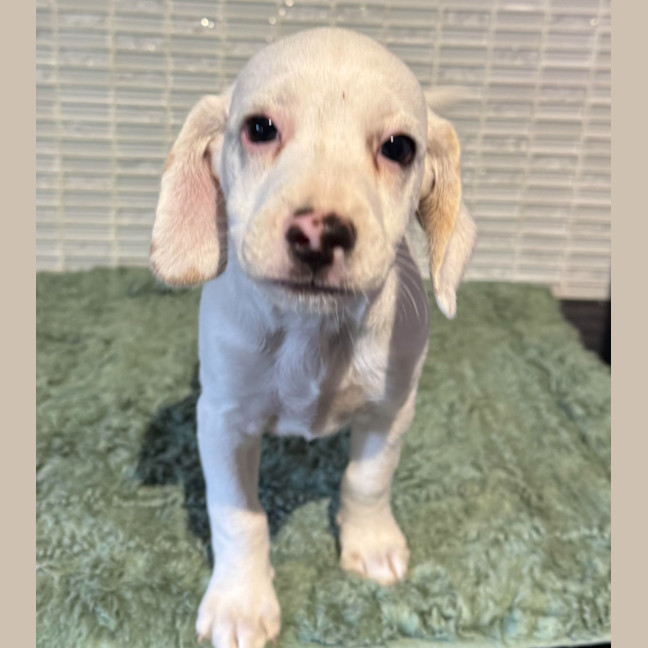 Photo of Wally