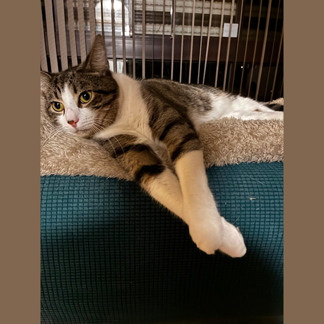 Photo of Zeus 
