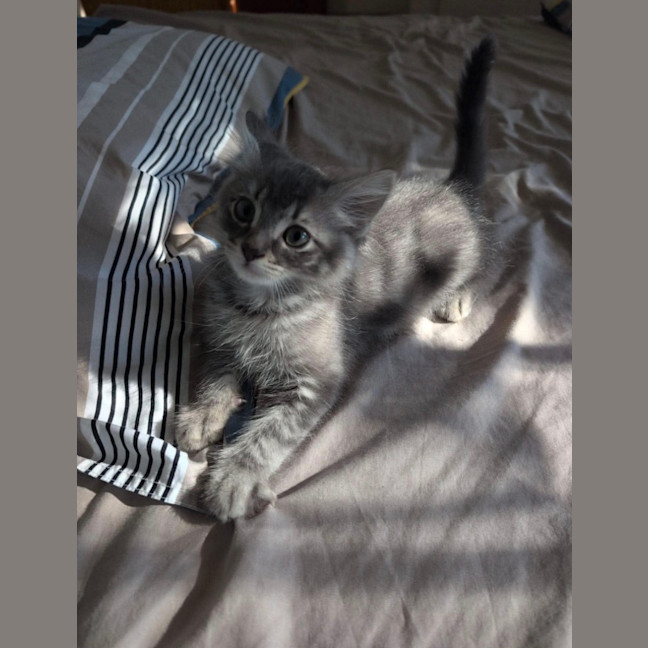 Photo of Sooty