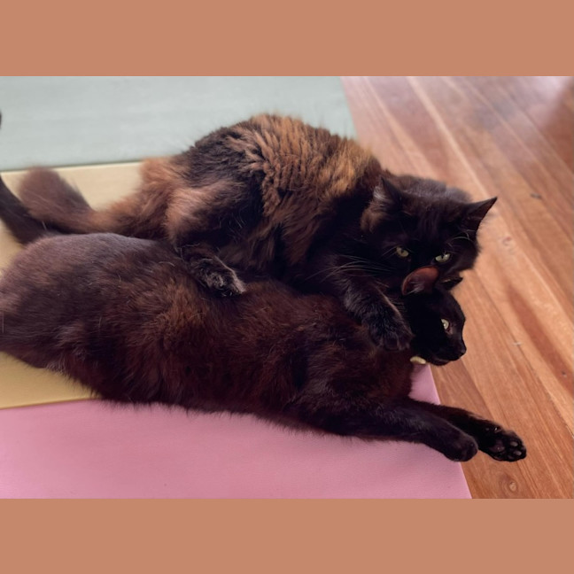 Photo of Frankie & Billie