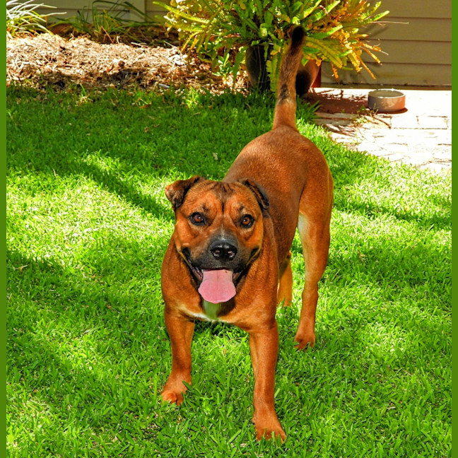 Photo of Princess (Prinny)