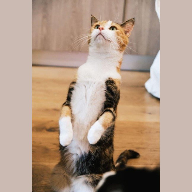 Photo of Genevieve Illingworth