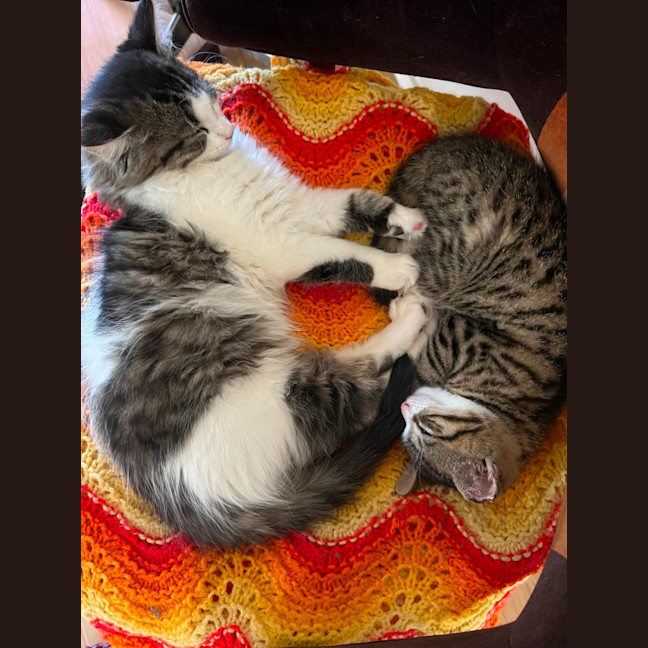 Photo of Kevin & Vincent