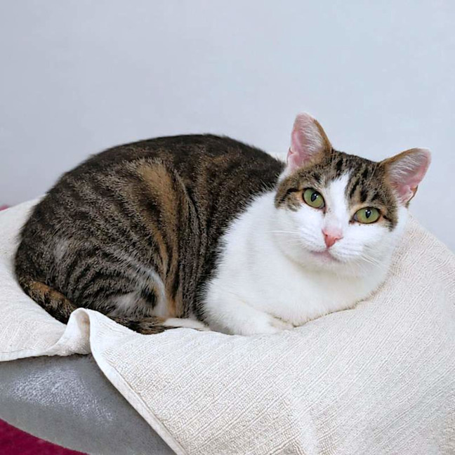 Photo of Seraphina