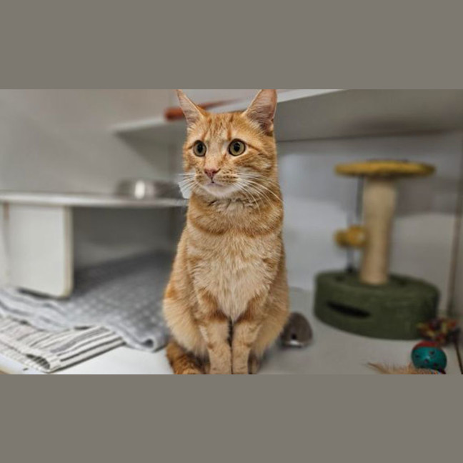 Photo of Bingo