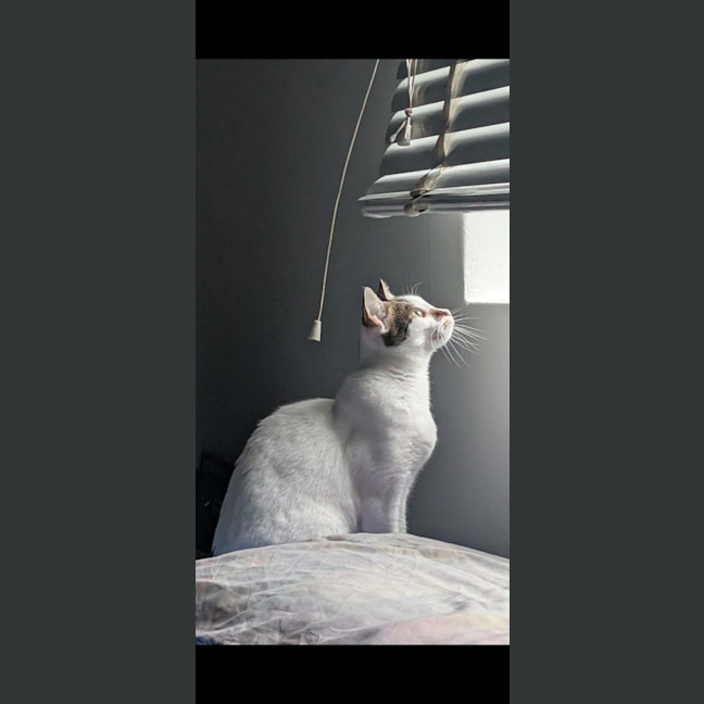 Photo of Gus