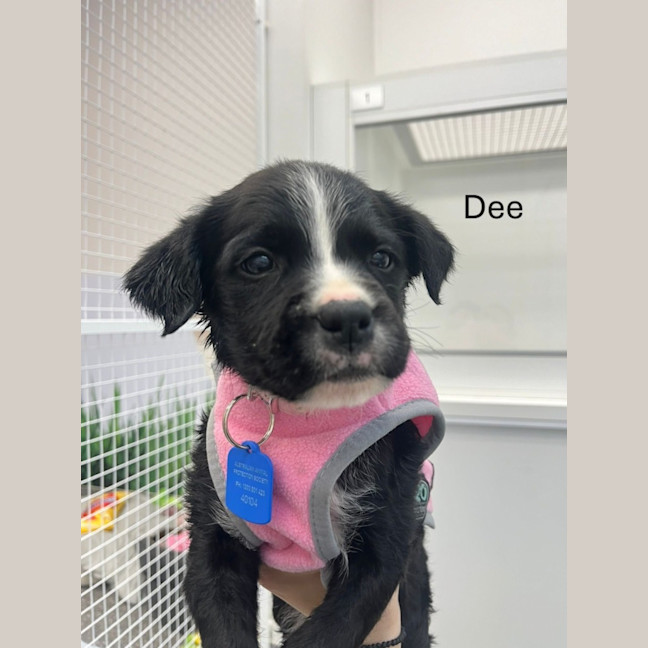 Photo of The Magnificent Seven!