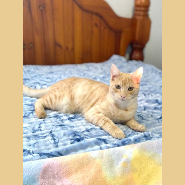 Photo of Sparkles