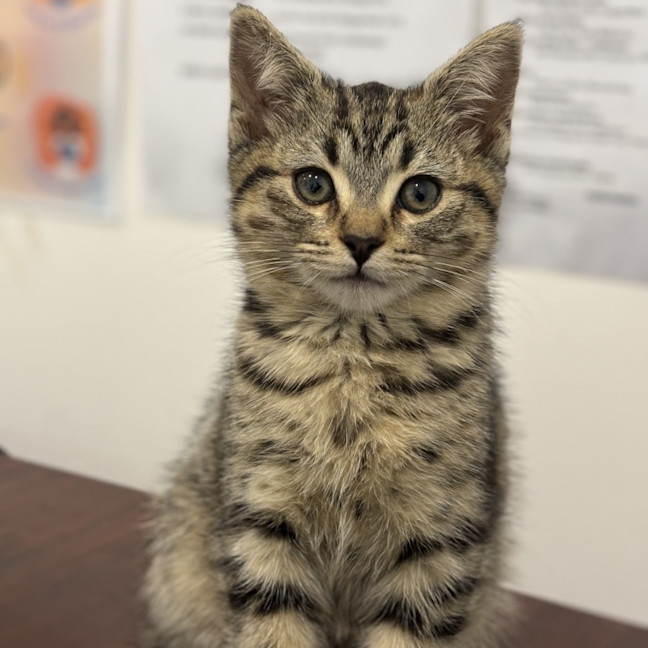 Photo of Tom