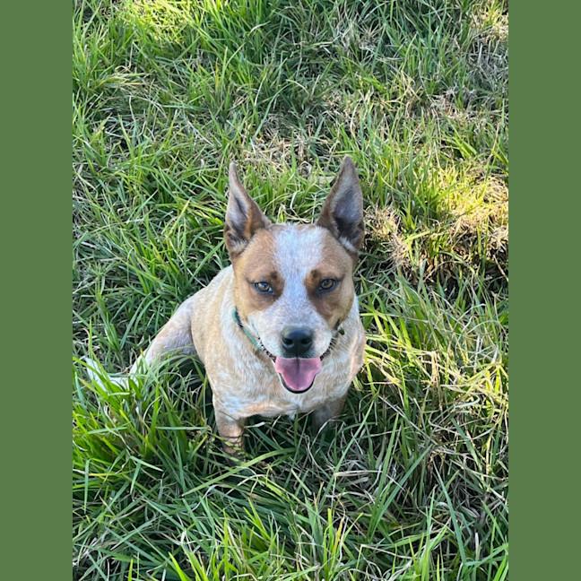 Photo of Mookie