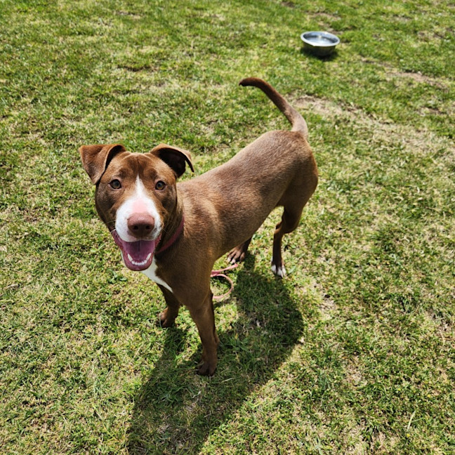 Photo of Polly (64374)