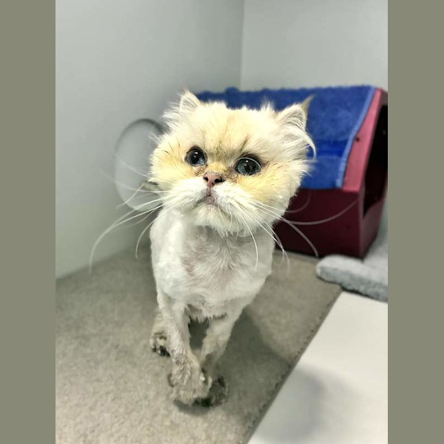 Photo of Cloud