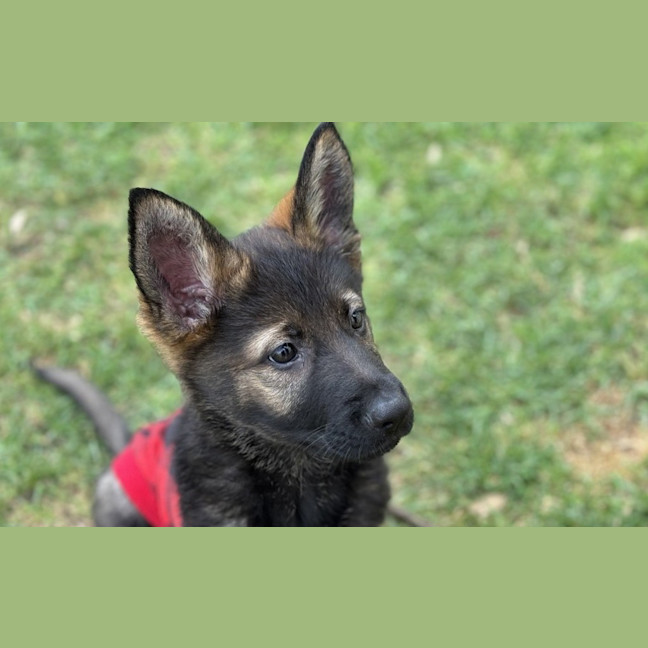 Photo of Matilda