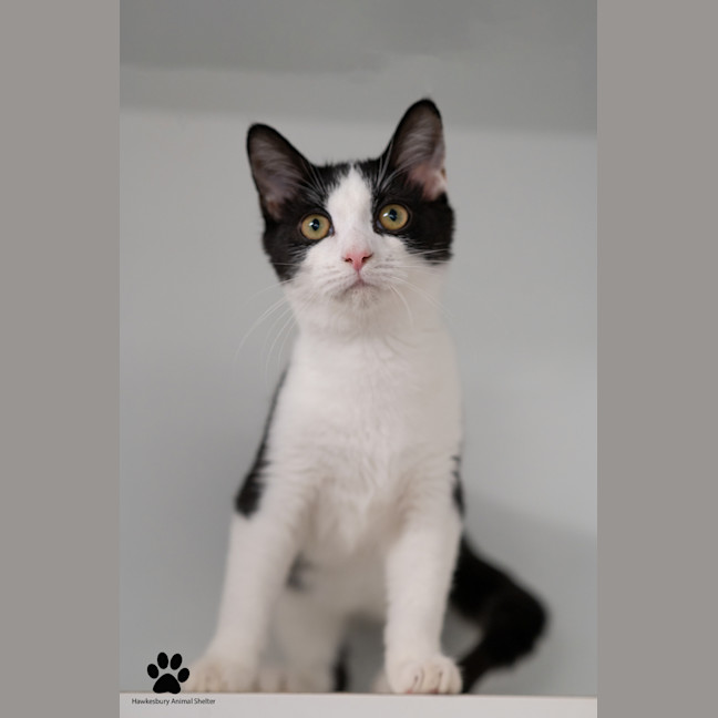 Photo of Steve