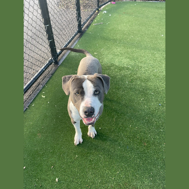 Photo of Jax Imp 1405