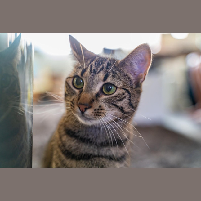 Photo of Eva   Located In Preston