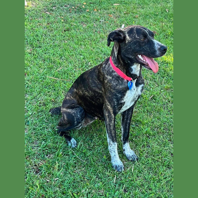 Photo of Coco