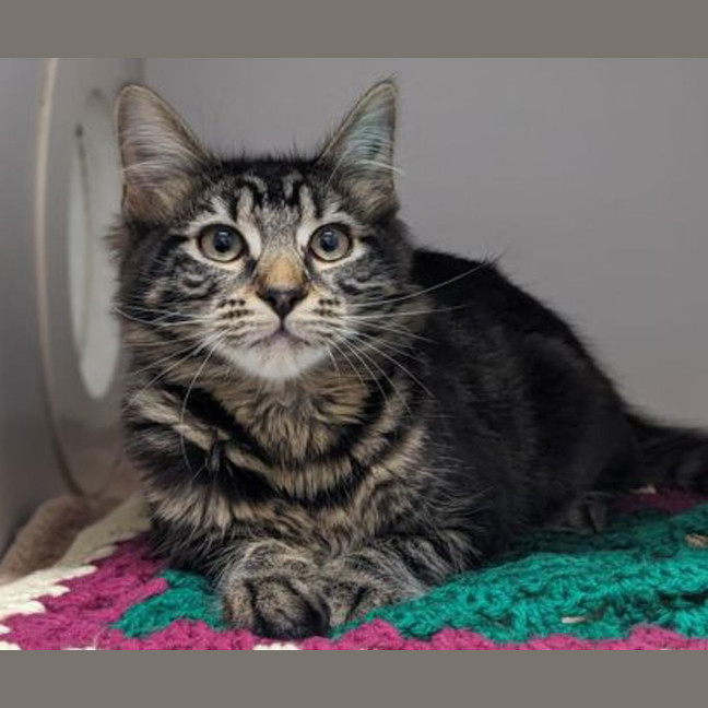 Photo of Kylo