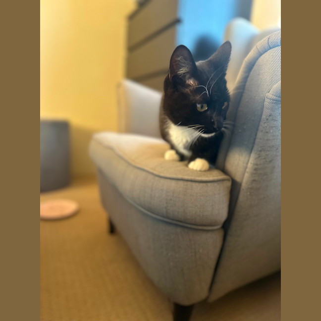 Photo of Bruce   Tuxedo