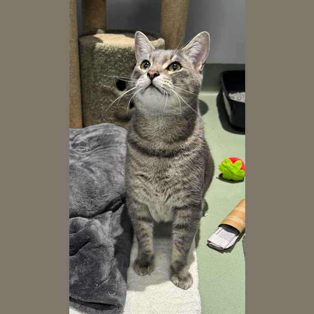 Photo of Timmy 