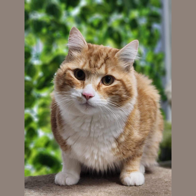 Photo of 🐠 Nemo 5314 🐠