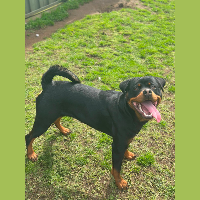 Photo of Max