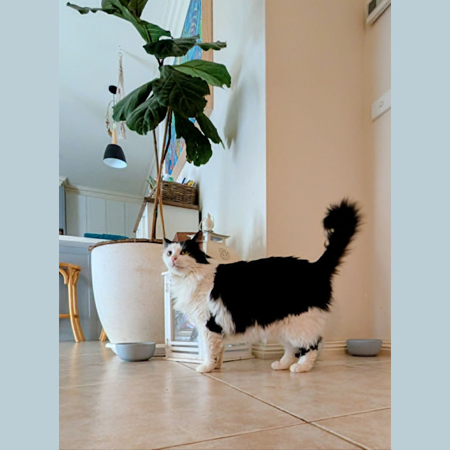 Photo of Maggie Moo