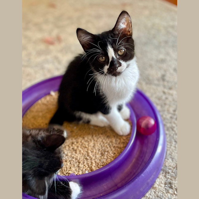 Photo of Dakota