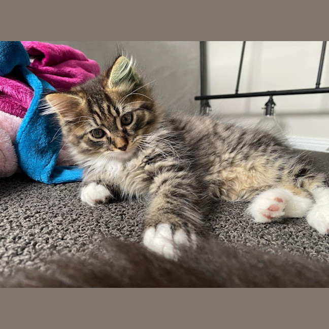 Photo of Leo