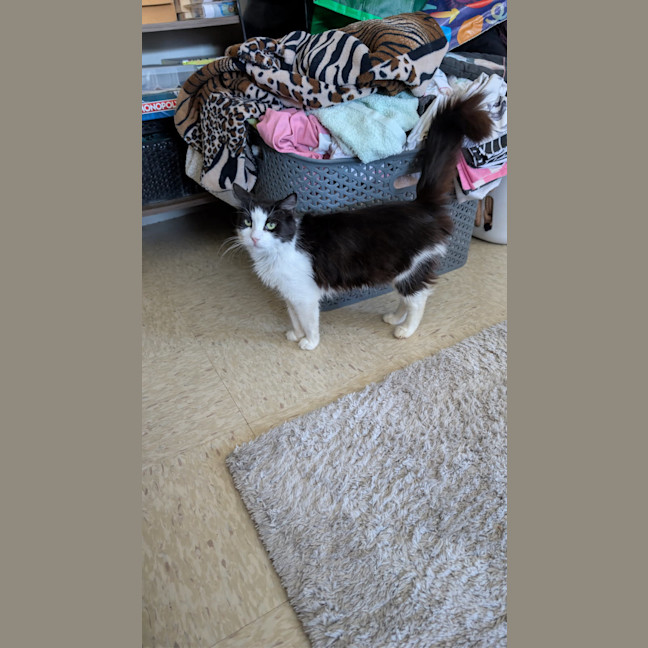 Photo of Miss Biccies