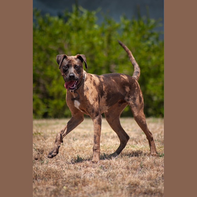 Photo of Enzo