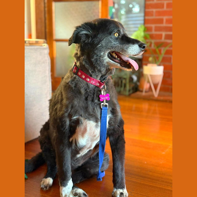 Photo of Susie