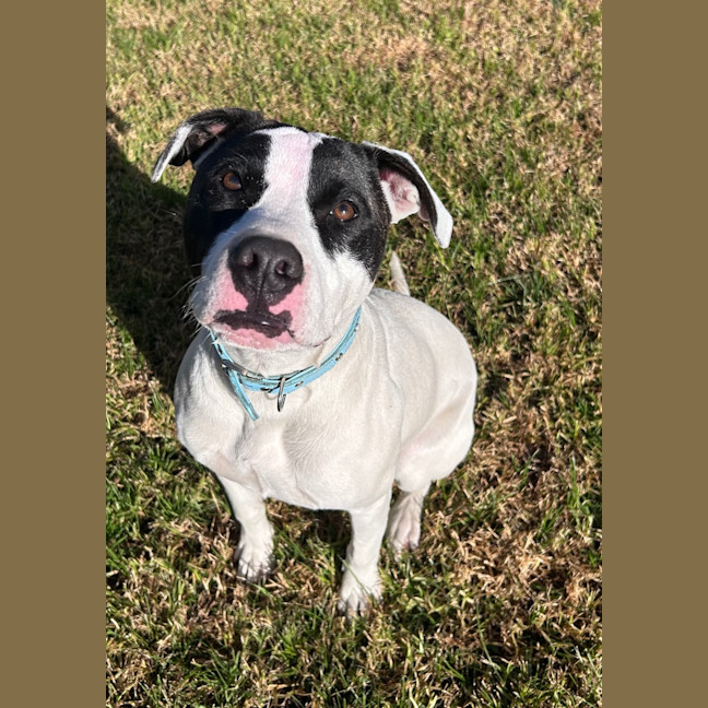 Photo of Tessa