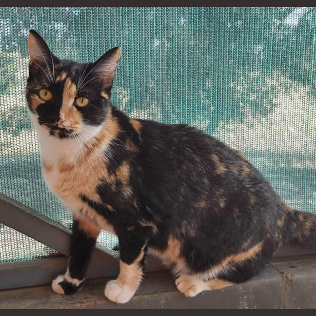 Photo of Maria