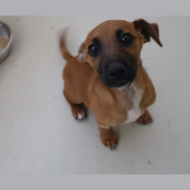 Photo of Mable