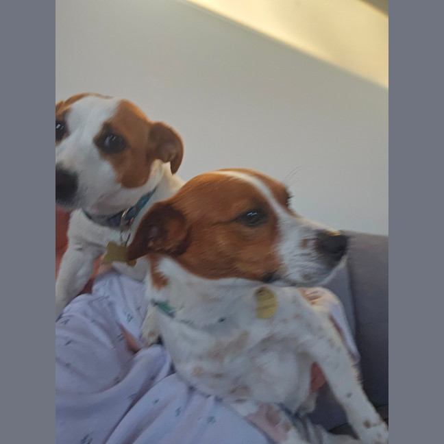 Photo of Arachide And Gelatina