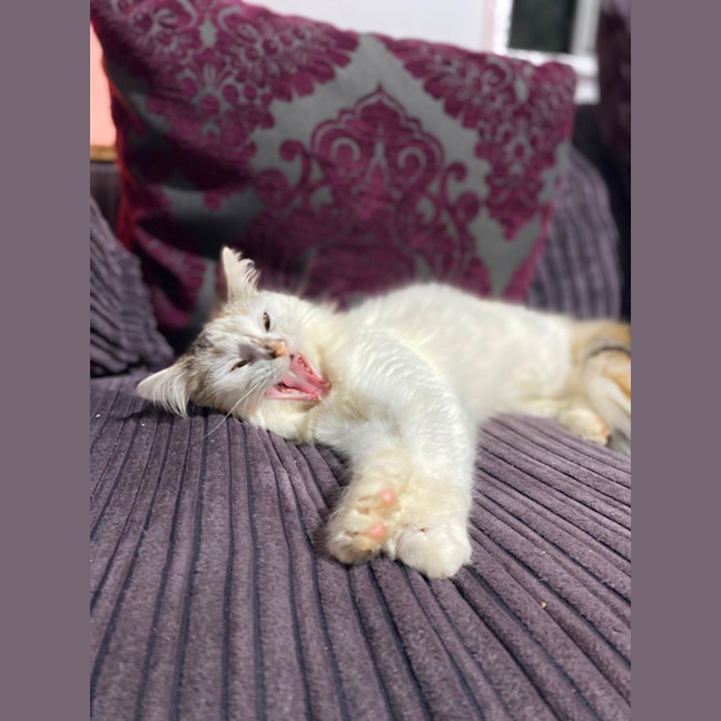 Photo of Winnie 😘