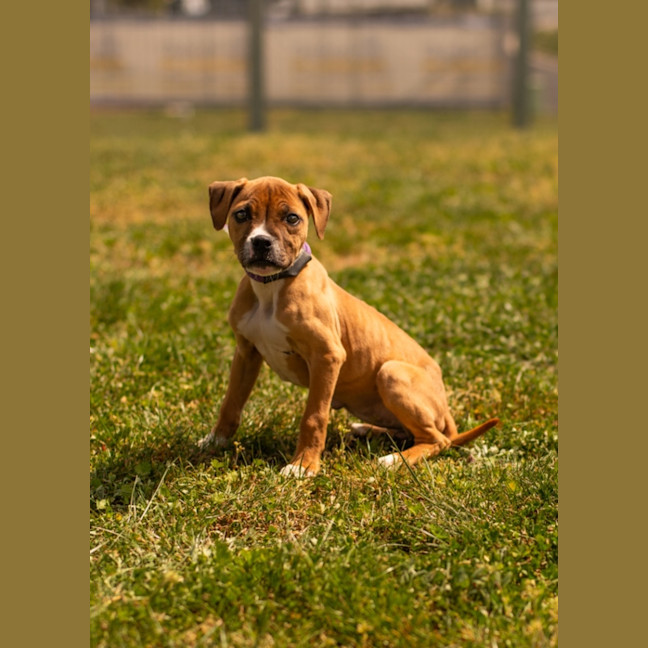 Photo of Maggie