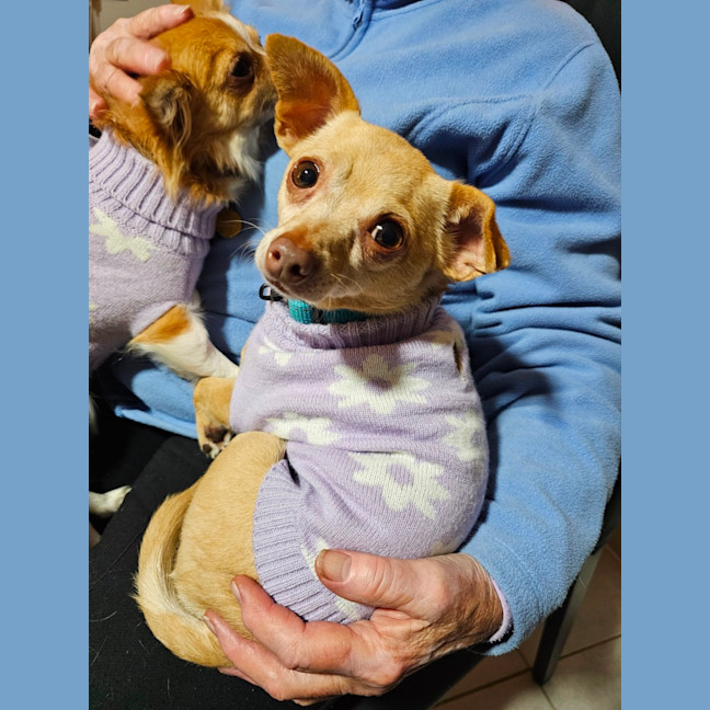 Photo of Chiquita & Alejandro