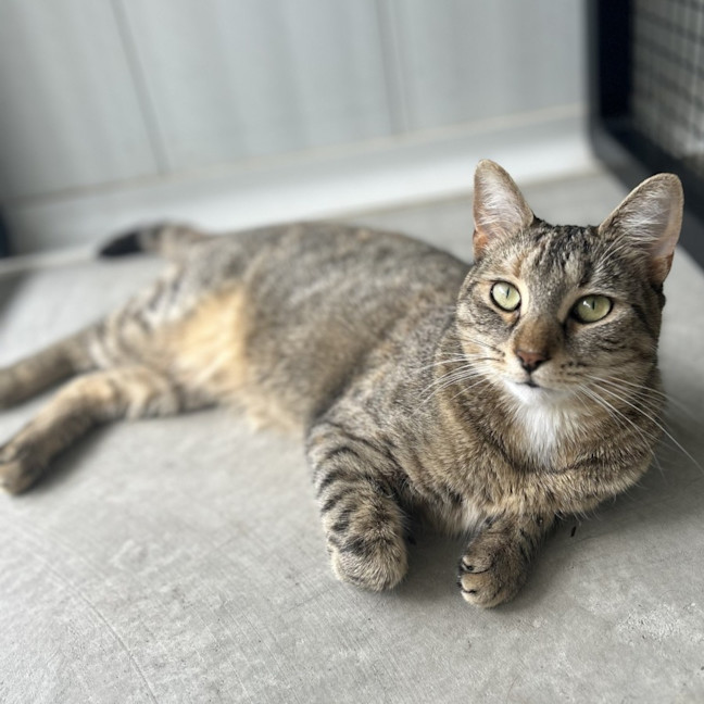 Photo of Tess