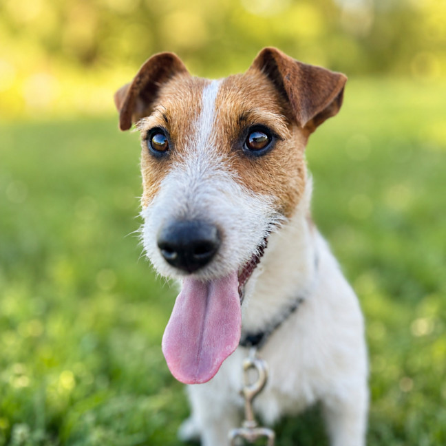 Photo of Walter