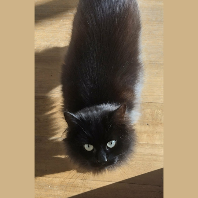 Photo of Maggie