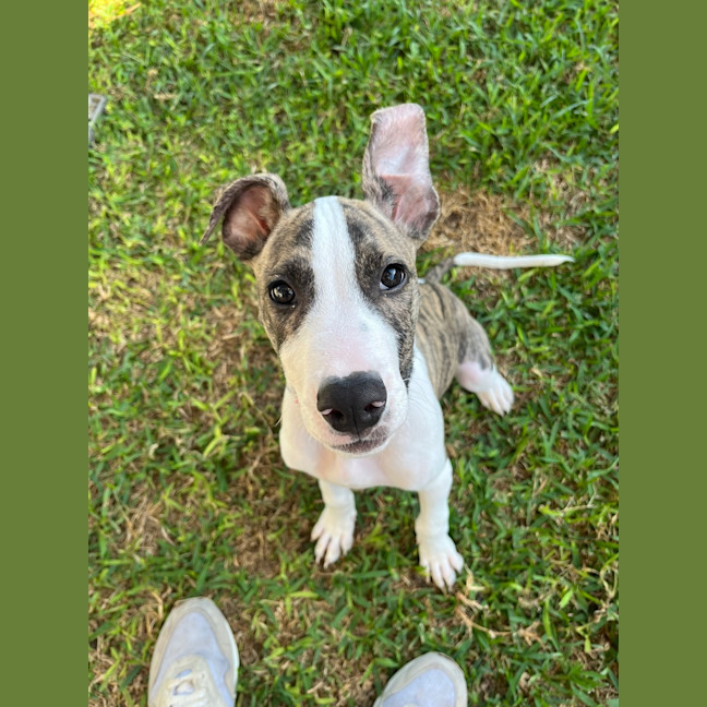 Photo of Stan