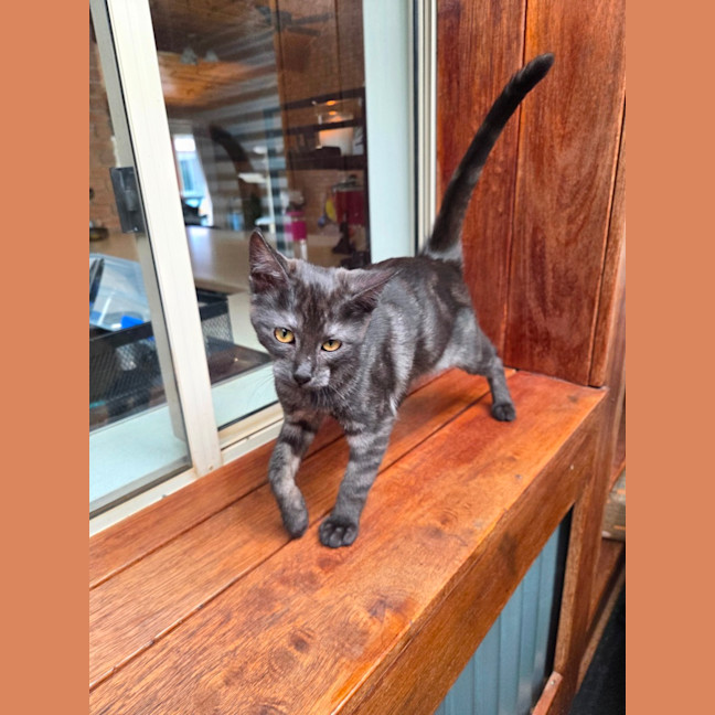 Photo of Wednesday