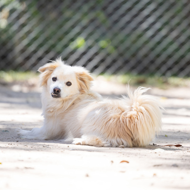 Photo of Hudson