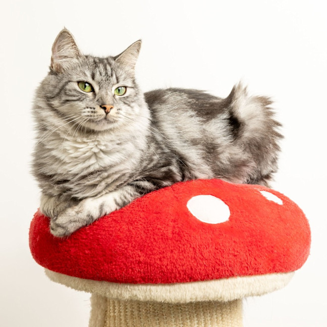 Photo of Megan